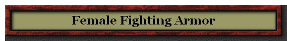 Female Fighting Armor
