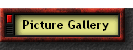 Picture Gallery