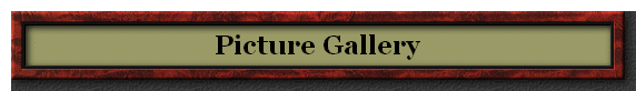 Picture Gallery