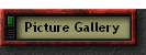 Picture Gallery