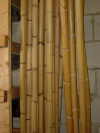 rattan
