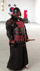 A suit of Dark Victory modified to be eastern design